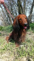 /album/fotogaleria/marley-15-mes-jpg/